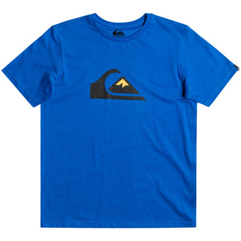 Vêtements Garçon Débardeurs / T-shirts lauren sans manche Quiksilver Comp Logo Bleu