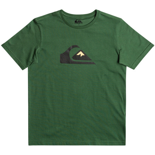 Vêtements Garçon Débardeurs / T-shirts sans manche Quiksilver Comp Logo Vert