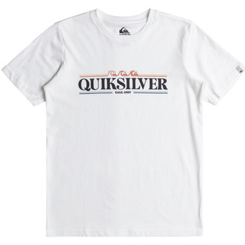 Vêtements Garçon Débardeurs / T-shirts erl sans manche Quiksilver Gradient Line Blanc