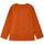 Vêtements Garçon ezekiel viscose shirt  Orange