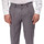 Vêtements Homme Pantalons Outfit Tenue pantalon gris doux Gris