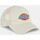 Accessoires textile Homme Casquettes Dickies Sumiton trucker Beige