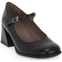 Chaussures Femme Escarpins Wonders NERO HAAGEN Noir