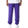 Vêtements Homme Pantalons de survêtement New-Era NBA Joggers Lakers Violet
