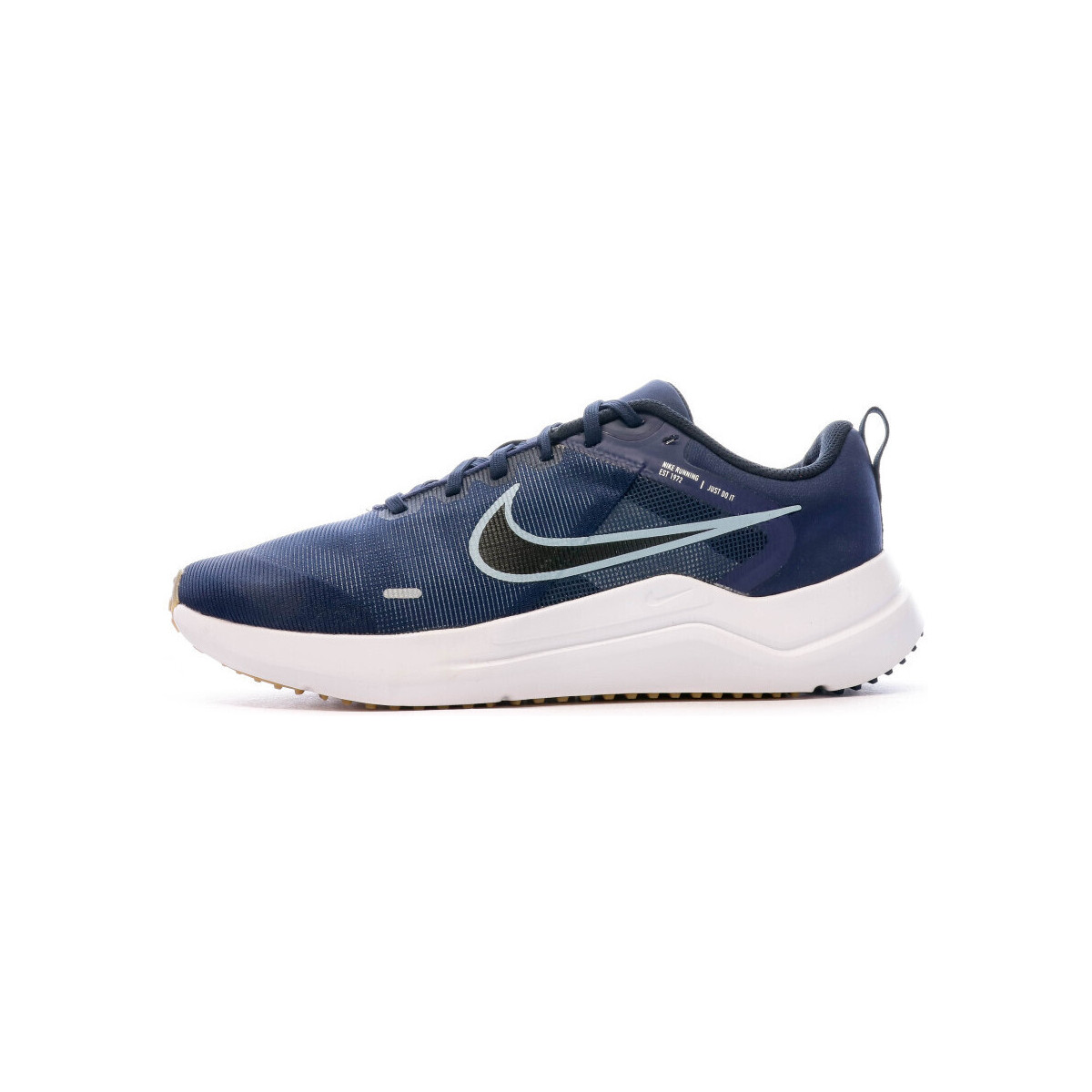 Chaussures Homme Running / trail Nike DD9293-400 Bleu