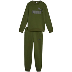 Vêtements Garçon Ensembles de survêtement Puma No.1 Logo Vert