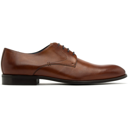Chaussures Derbies & Richelieu Ryłko IPTD01__ _6ZY Marron