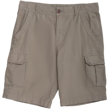 Vêtements Homme Shorts / Bermudas Animal MW1157 Vert