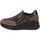 Chaussures Femme Baskets mode IgI&CO IG-4655022 Beige