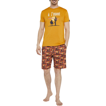 Vêtements Homme Pyjamas / Chemises de nuit Arthur Pyjama court coton Jaune