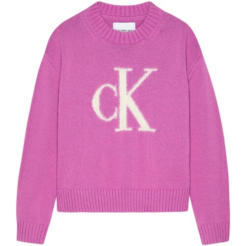 Vêtements Fille Pulls Calvin Klein JEANS Sleeveless IG0IG02220 Violet