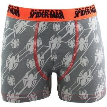 Sous-vêtements Garçon Boxers Marvel MARVEL Shorts & Bermudas SPID05C Gris Gris