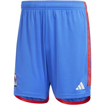 Vêtements Homme Shorts / Bermudas adidas Originals Ol a sho Bleu