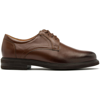 Chaussures Derbies & Richelieu Ryłko IG6368__ _1GP Marron