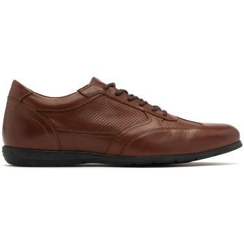 Chaussures Derbies & Richelieu Ryłko IPWY03__ _1BT Marron