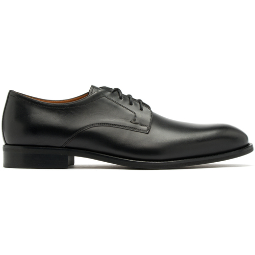 Chaussures Derbies & Richelieu Ryłko IPWB03__ _5ZW Noir