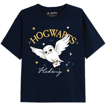 Vêtements Fille T-shirts manches Flight Harry Potter  Bleu