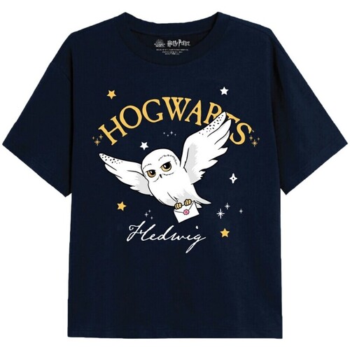 Vêtements Fille product eng 1020885 Sweatshirt merino Dickies Logo Sweatshirt merino Harry Potter  Bleu