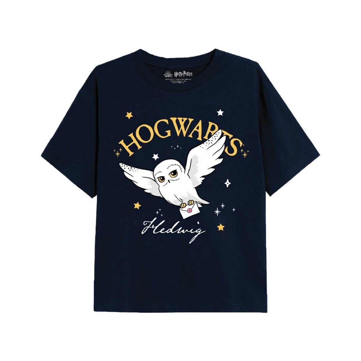 Vêtements Fille T-shirts manches longues Harry Potter TV2200 Bleu