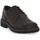 Chaussures Homme Multisport IgI&CO FREDDY CAFFE Marron