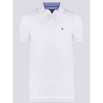 Vêtements Homme T-shirts & Polos Tommy Hilfiger Classic Polo Blanc Autres