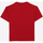 Vêtements Garçon T-shirts & Polos Kaporal PIERO Rouge