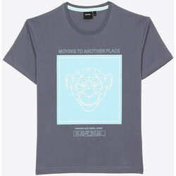Vêtements Garçon T-shirts manches courtes Kaporal PONGA Bleu