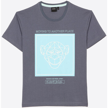 Vêtements Garçon T-shirts manches courtes Kaporal PONGA Bleu