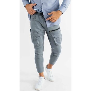 Vêtements Homme Chinos / Carrots Hollyghost Pantalon cargo multi-poches anthracite Gris