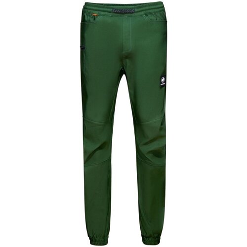 Vêtements Homme Shorts / Bermudas Mammut  Vert
