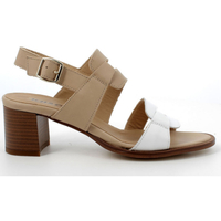 Chaussures Femme Sandales et Nu-pieds IgI&CO 1690311 Blanc
