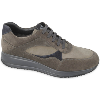 Chaussures Homme Baskets mode Valleverde 36874G Gris