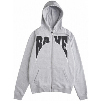 Vêtements Homme Sweats Rave Academy hoodie Gris