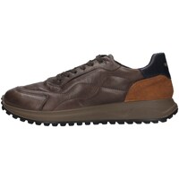 Chaussures Homme Baskets basses IgI&CO 4640722 Marron