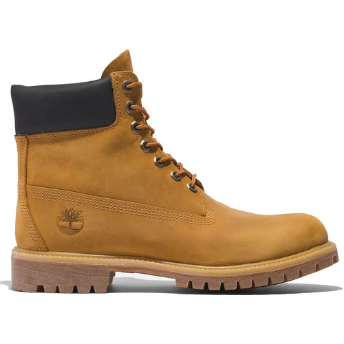 Chaussures Homme Baskets mode Timberland Icon 6 Inch Premium Wp Boot Beige