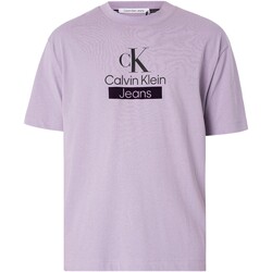 Vêtements Homme T-shirts manches courtes Calvin Klein Jeans T-shirt d'archives empilé Rose