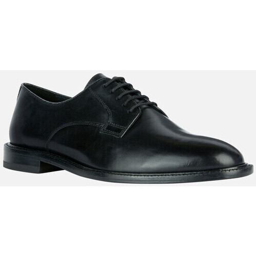 Chaussures Homme Derbies & Richelieu Geox U ARTENOVA Noir