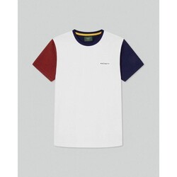 Vêtements Homme T-shirts manches courtes Hackett HM500764 HERITAGE Blanc