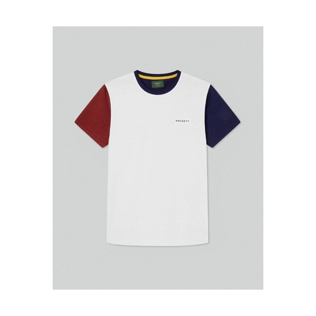 Vêtements Homme T-shirts manches courtes Hackett HM500764 HERITAGE Blanc