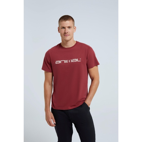 Vêtements Homme T-shirts manches longues Animal MW362 Multicolore