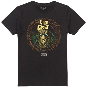 Vêtements Homme T-shirts manches longues Guardians Of The Galaxy I Am Groot Noir