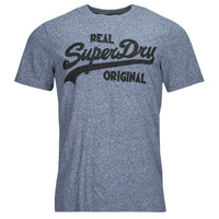 Vêtements Homme T-shirts manches courtes Superdry EMBROIDERED VL T azul shirt Gris