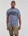 Vêtements Homme T-shirts manches courtes Superdry EMBROIDERED VL T SHIRT Gris