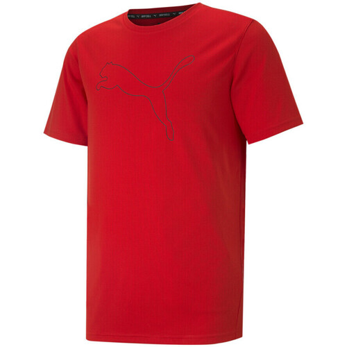 Vêtements Garçon T-shirts & Polos Puma 520315-11 Rouge