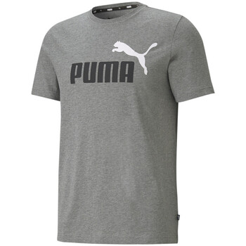 Vêtements Homme T-shirts manches courtes Puma 586759-03 Gris