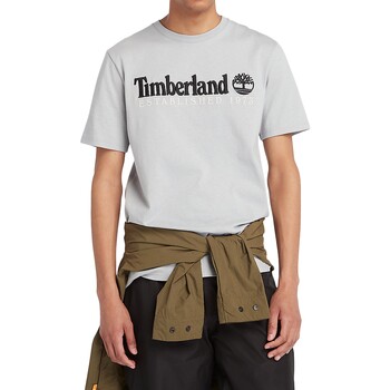 Vêtements Homme T-shirts manches courtes Timberland 221880 Gris