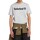 Vêtements Homme T-shirts manches courtes Timberland Tee-Shirt Embroidery Logo Gris
