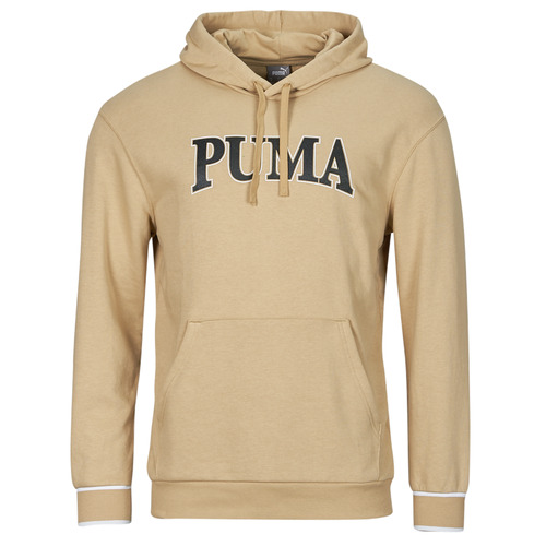 Vêtements Homme Sweats Puma producto Puma producto SQUAD HOODIE TR Beige