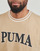 Vêtements Homme T-shirts manches courtes Puma PUMA SQUAD BIG GRAPHIC TEE Beige