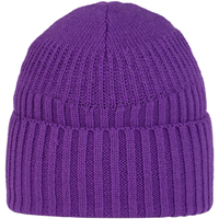 Accessoires textile Bonnets Buff Knitted Fleece Hat Beanie Violet